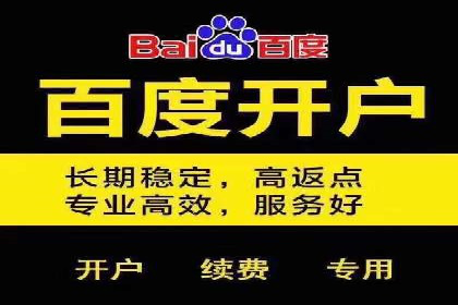 某知名企业SEM外包项目的成功经验分享